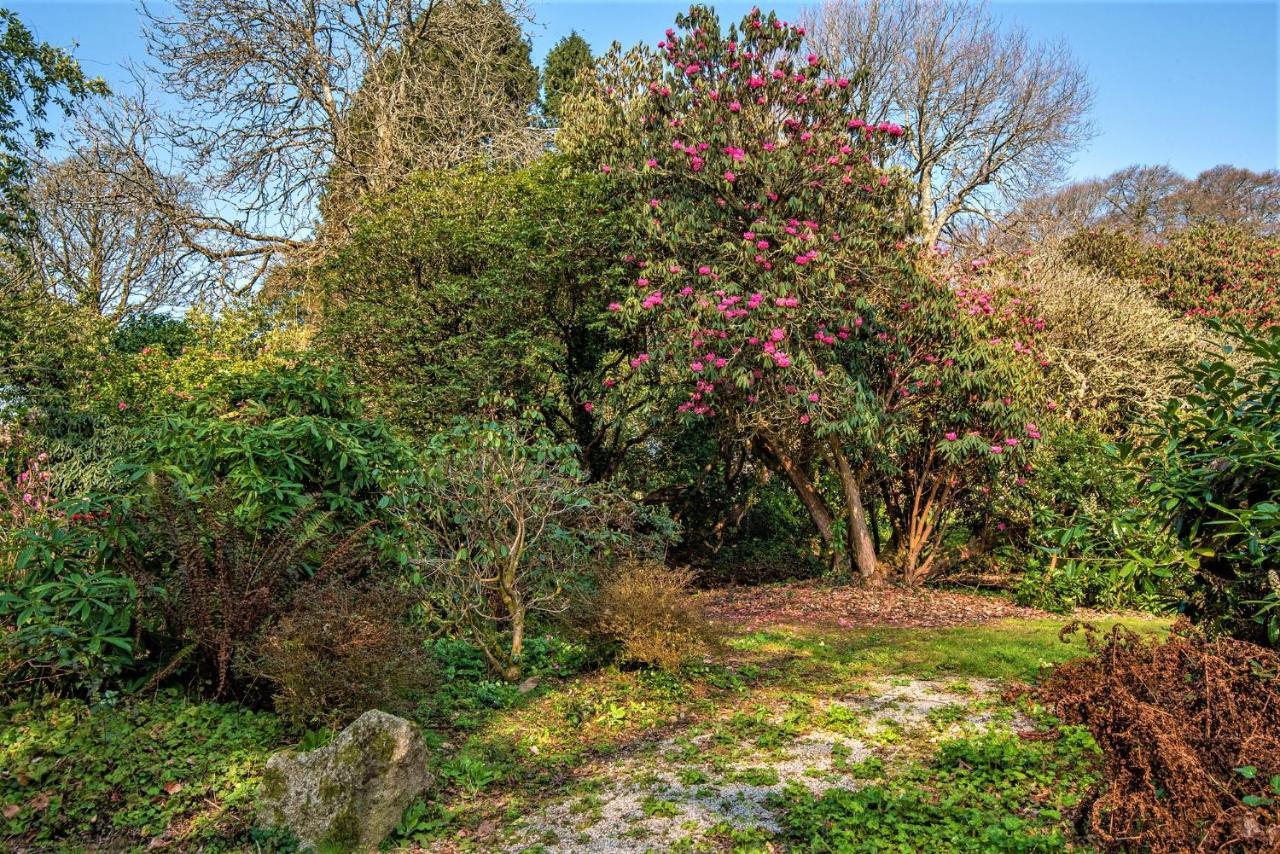 Bosvathick Cottage القسطنطين المظهر الخارجي الصورة