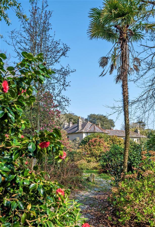 Bosvathick Cottage القسطنطين المظهر الخارجي الصورة